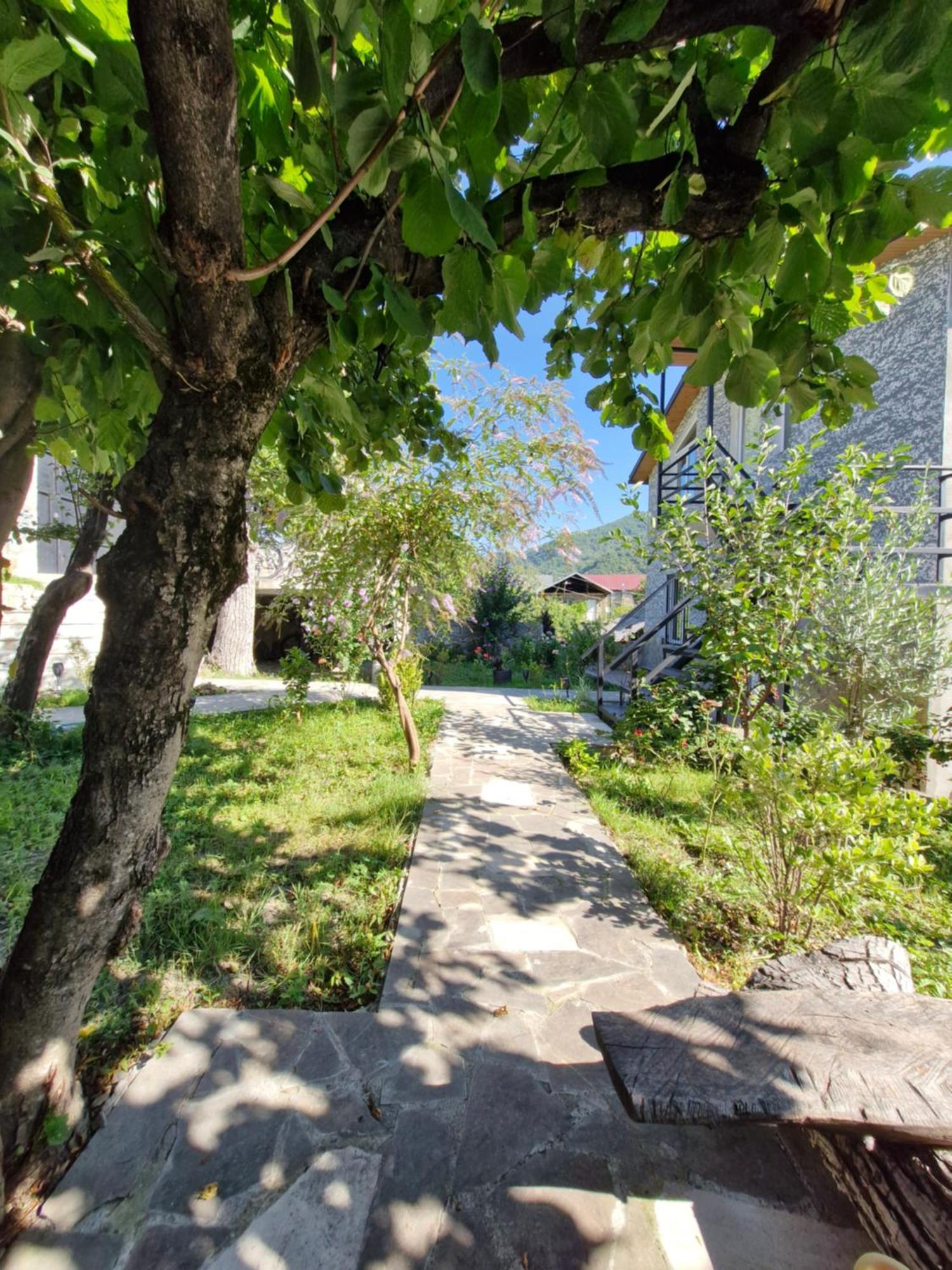 Ananuri Veranda- Hotel Guest House Exterior photo