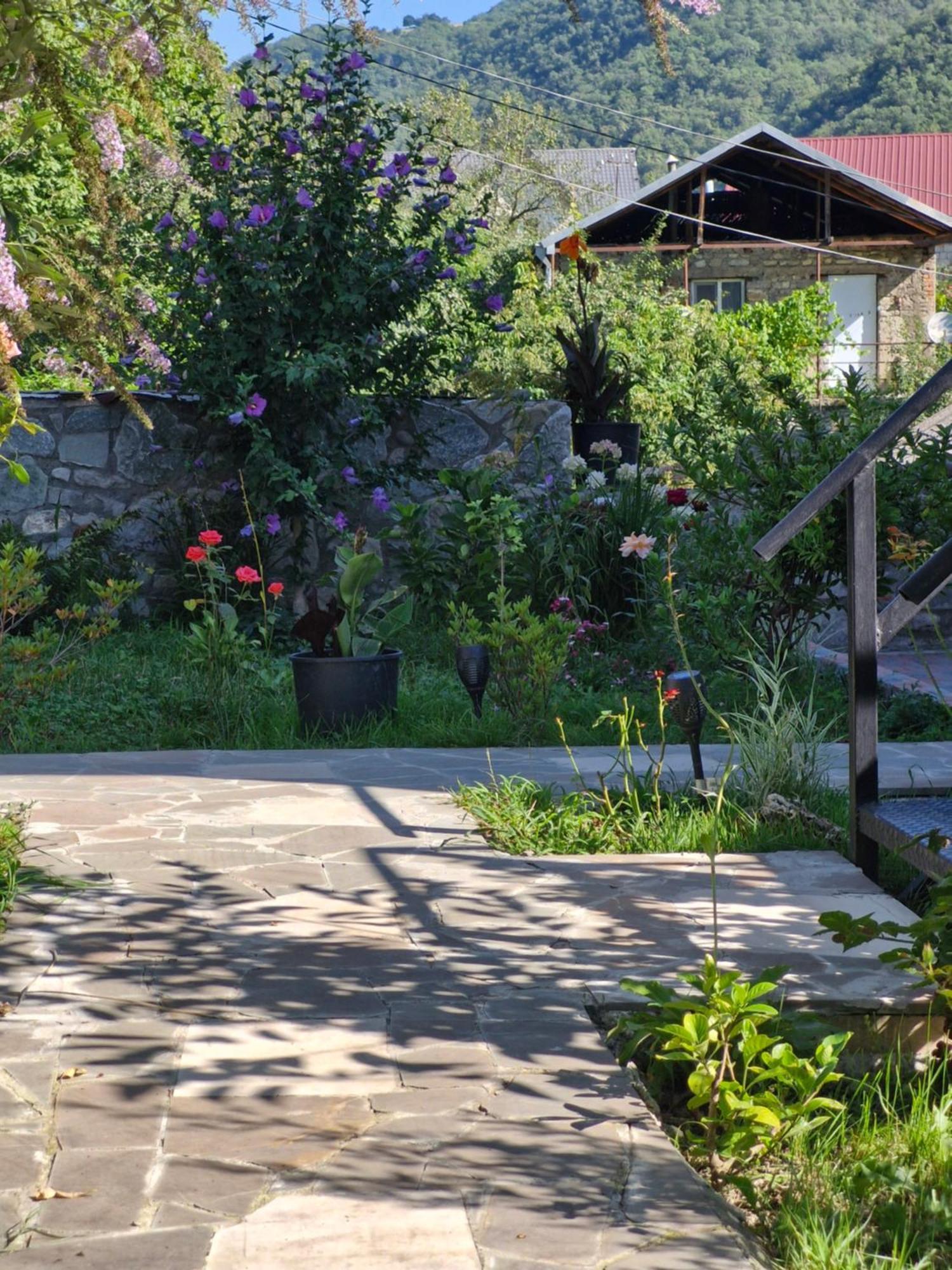 Ananuri Veranda- Hotel Guest House Exterior photo